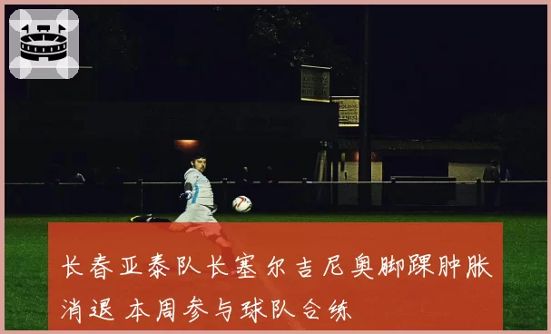 长春亚泰队长塞尔吉尼奥脚踝肿胀消退 本周参与球队合练