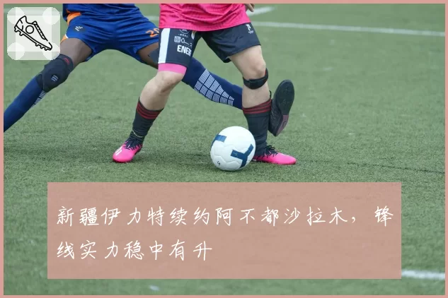 新疆伊力特续约阿不都沙拉木,锋线实力稳中有升