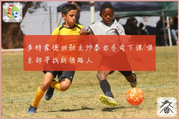 多特蒙德功勋主帅泰尔齐奇下课 俱乐部寻找新领路人