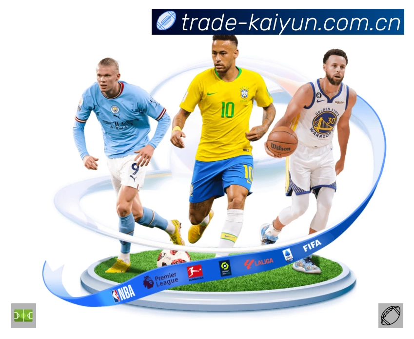 开云平台展示图